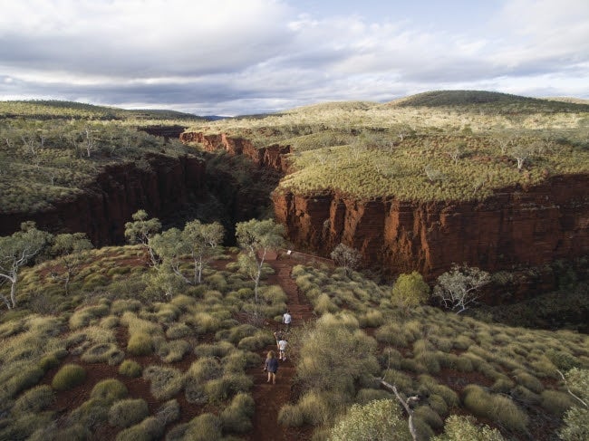 カリジニ国立公園／画像提供：西オーストラリア州政府観光局<br>

