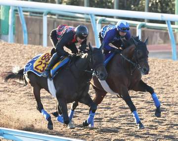 【天皇賞・秋】ホウオウビスケッツ 好仕上がりアピール 奥村武師「反応がすごく良かった」
