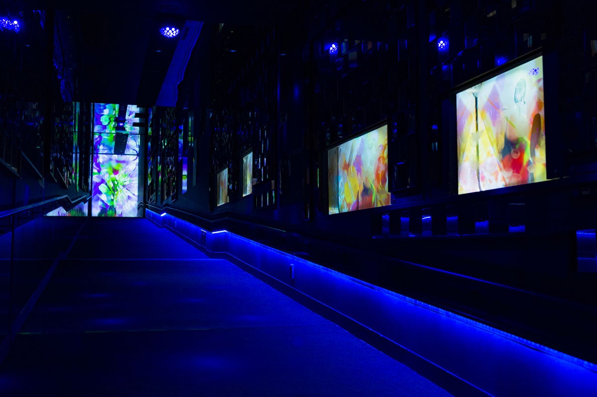 クラゲ水槽全てと蜷川実花作品がコラボレーション／画像提供：エイベックス・グループ