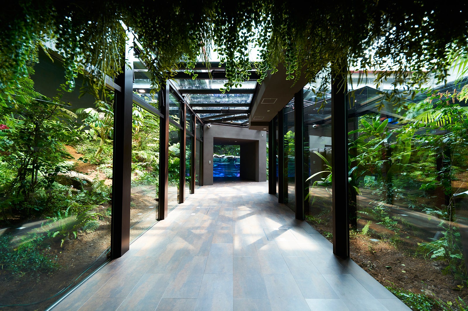 自然光の降り注ぐ昼の「アマゾンゾーン」／画像提供：アクア・ライブ・インベストメント