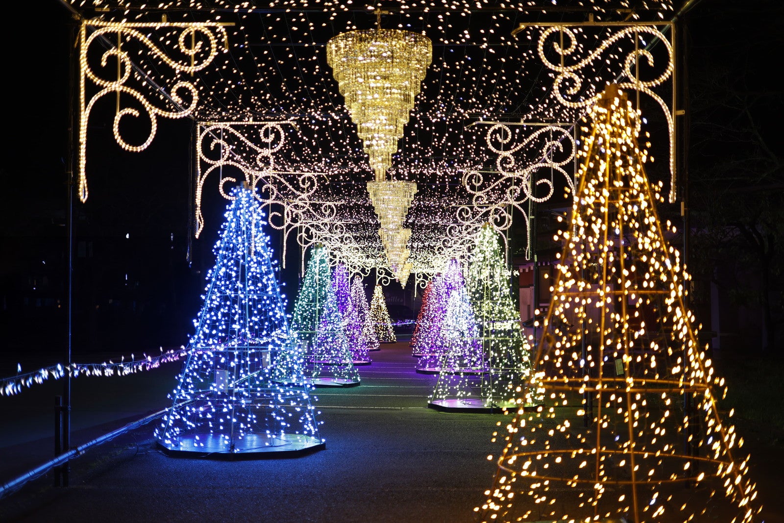 ひかりのすみか（提供写真）