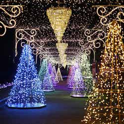 ひかりのすみか(提供写真)