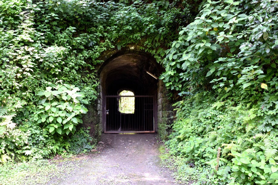 銭洗弁財天　入り口