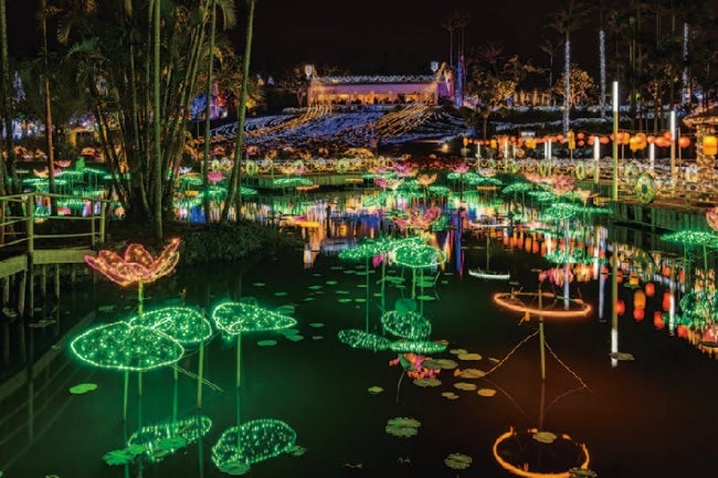 東南植物楽園 ひかりの散歩道／画像提供：ぴあ