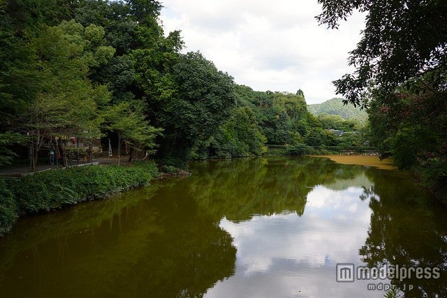 境内の目の前には小倉池が広がる／photo by Kentaro Ohno