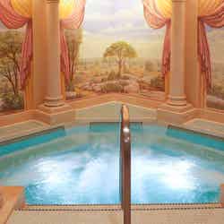 テルメ・ヴェネツィア(C)Disney