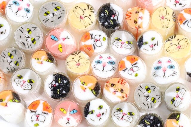 ねこグッズ特集 ねこグッズ特集