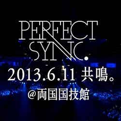 「au PERFECT SYNC. ／REAL」篇