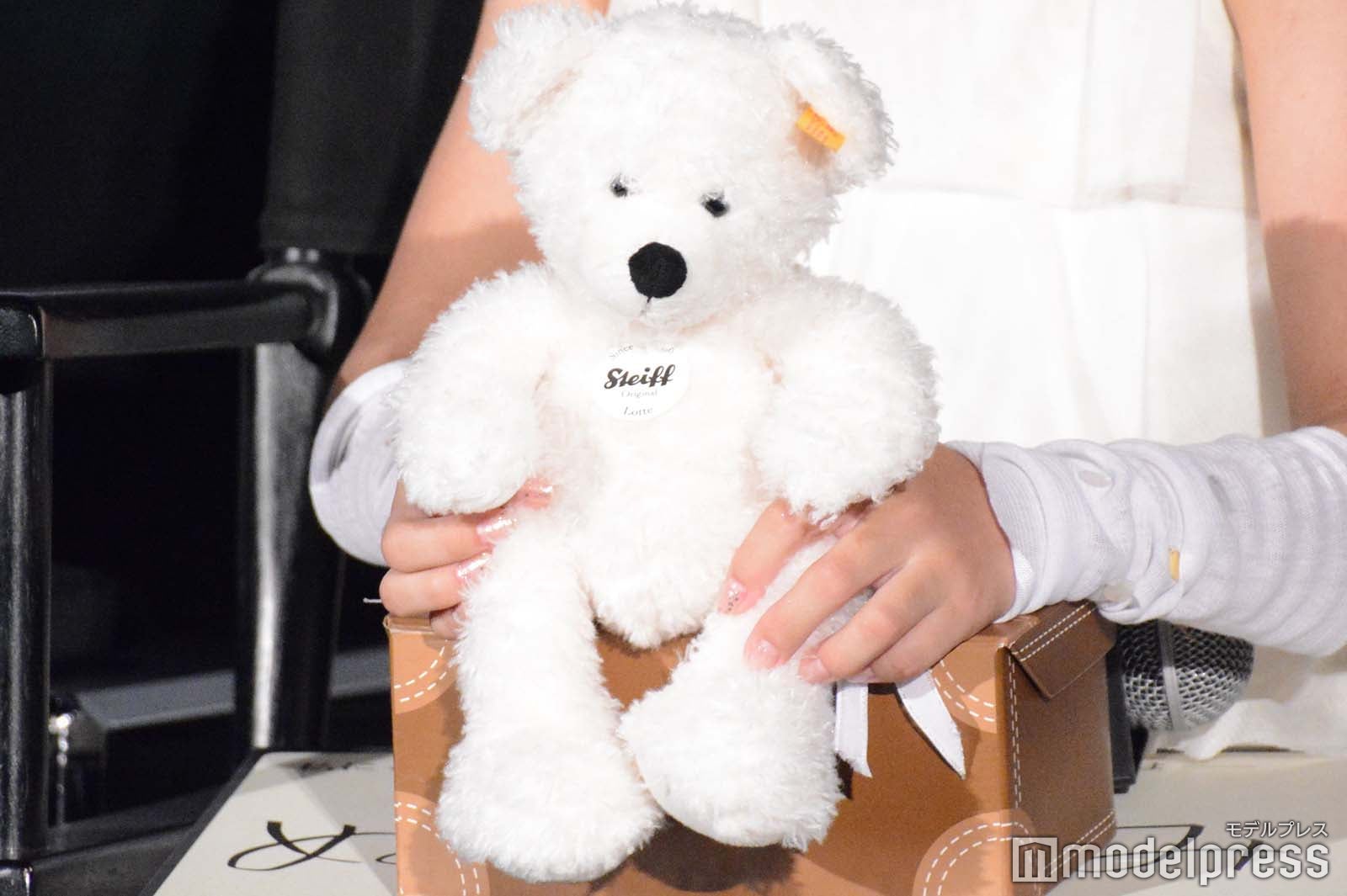 玉山鉄二が真木ことかに贈ったぬいぐるみ（C）モデルプレス