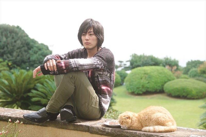 愛猫・ヨシマサも和正になついている（C）2016森本梢子／集英社・ 映画「高台家の人々」製作委員会