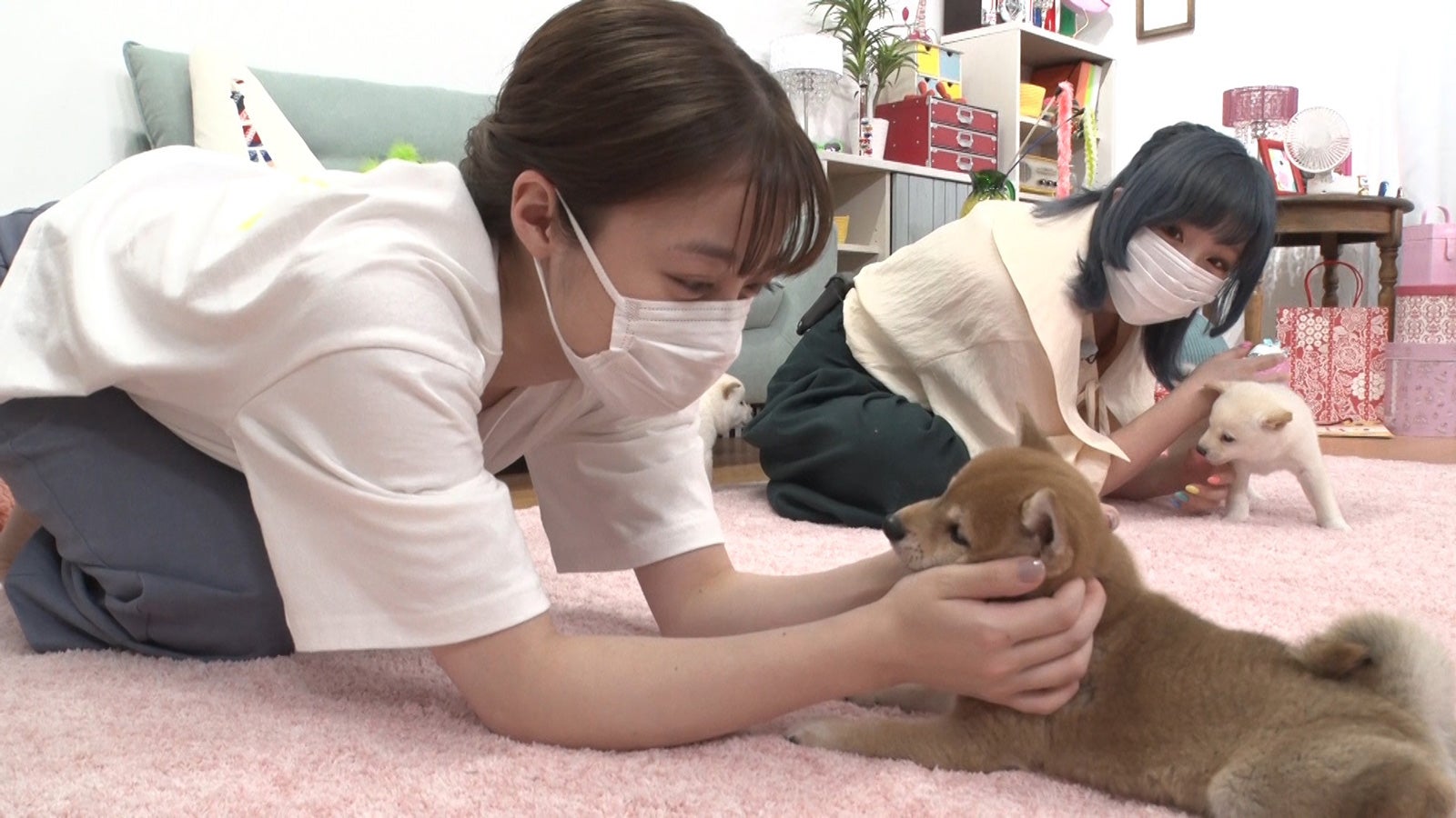 橋本環奈、きゃりーぱみゅぱみゅ（C）日本テレビ