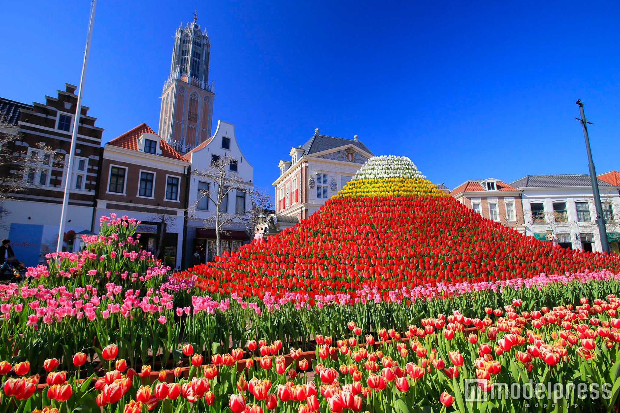 「チューリップ富士」（C）ハウステンボス／J-17078