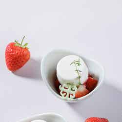 ストロベリー デザートブッフェ/提供素材