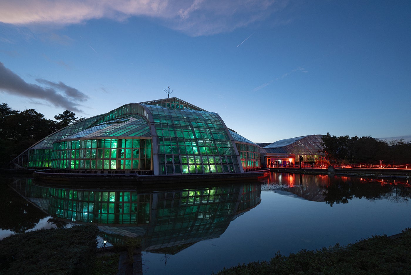 LIGHT CYCLES KYOTO/提供画像