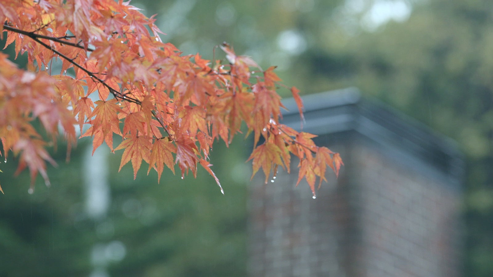 「TERRACE HOUSE OPENING NEW DOORS」2nd WEEK（C）フジテレビ／イースト・エンタテインメント