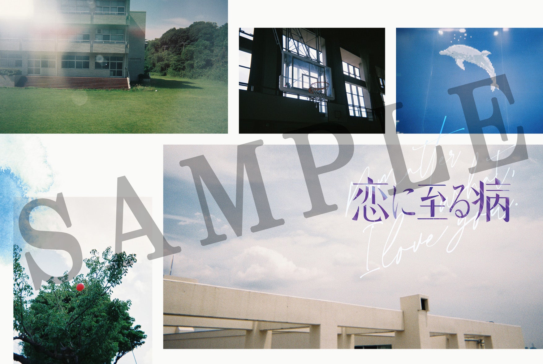 「恋に至る病」入場者プレゼント第2弾（C）2025『恋に至る病』製作委員会