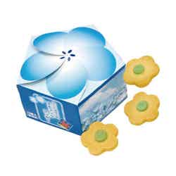 国営ひたち海浜公園/提供画像