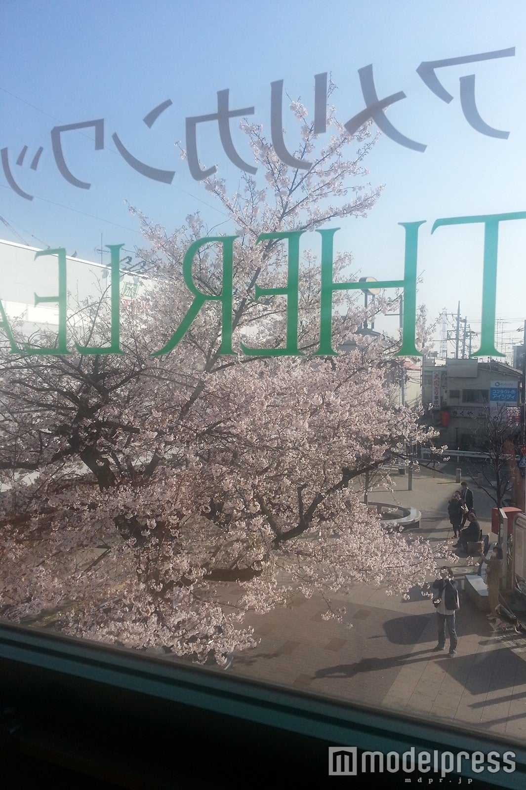 ／画像提供：モスフードサービス