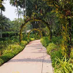 2015年シンガポール初の世界遺産に登録されたシンガポール植物園／Singapore Botanic Gardens by Katie Hannan