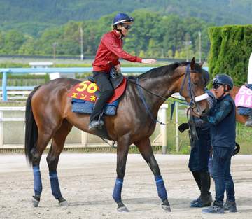 【オークス】エンネ デビュー2カ月でみるみる成長 陣営は距離延長に期待「ディー騎手も距離が延びた方がいいと。楽しみ」【一問一答】