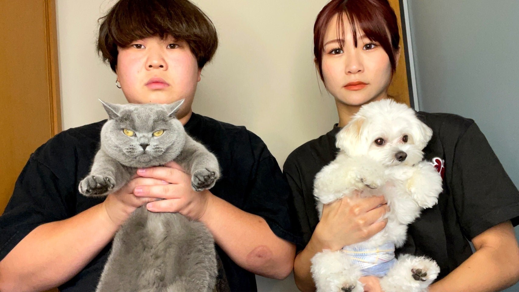 夜のひと笑い、破局後のペットについて説明 久々の“家族4人”動画に反響