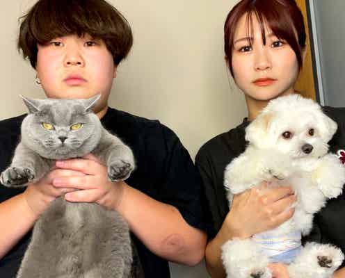 夜のひと笑い、破局後のペットについて説明 久々の“家族4人”動画に反響