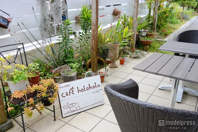 緑いっぱいのテラス席も