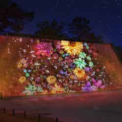 夜歩きアート県庁NAKED GARDEN SAGA/画像提供:ネイキッド