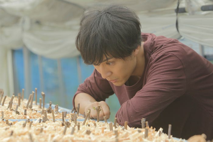 渡辺大(C)河合香織・小学館(C)2018 Kart Entertainment Co., Ltd.