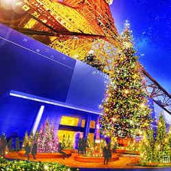 東京タワー＆Xmasツリーが華やかライトアップ 4万個のオレンジLEDが輝く／画像提供：東京タワー【モデルプレス】