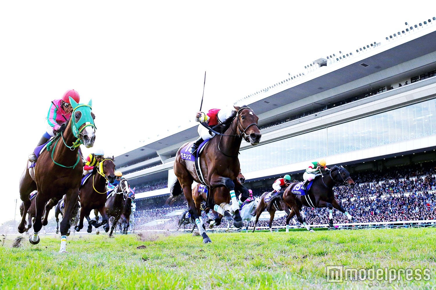 迫力満点の競馬レース