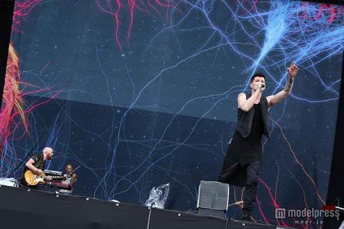 THE SCRIPT