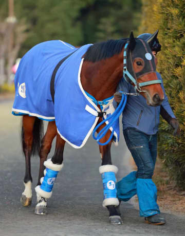 【新馬戦】ヴィスメンティス 出走除外で1週伸びても問題なし 池江師「動きはいい」素軽い脚取り 全姉は重賞馬・アンドラステ