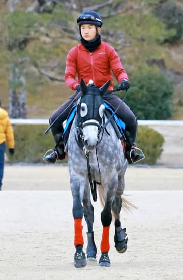 ヤマニンブークリエは受諾しているネオムターフカップへ 鞍上は横山典