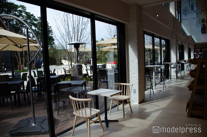 メッツァビレッジ（C）ビューティーガール