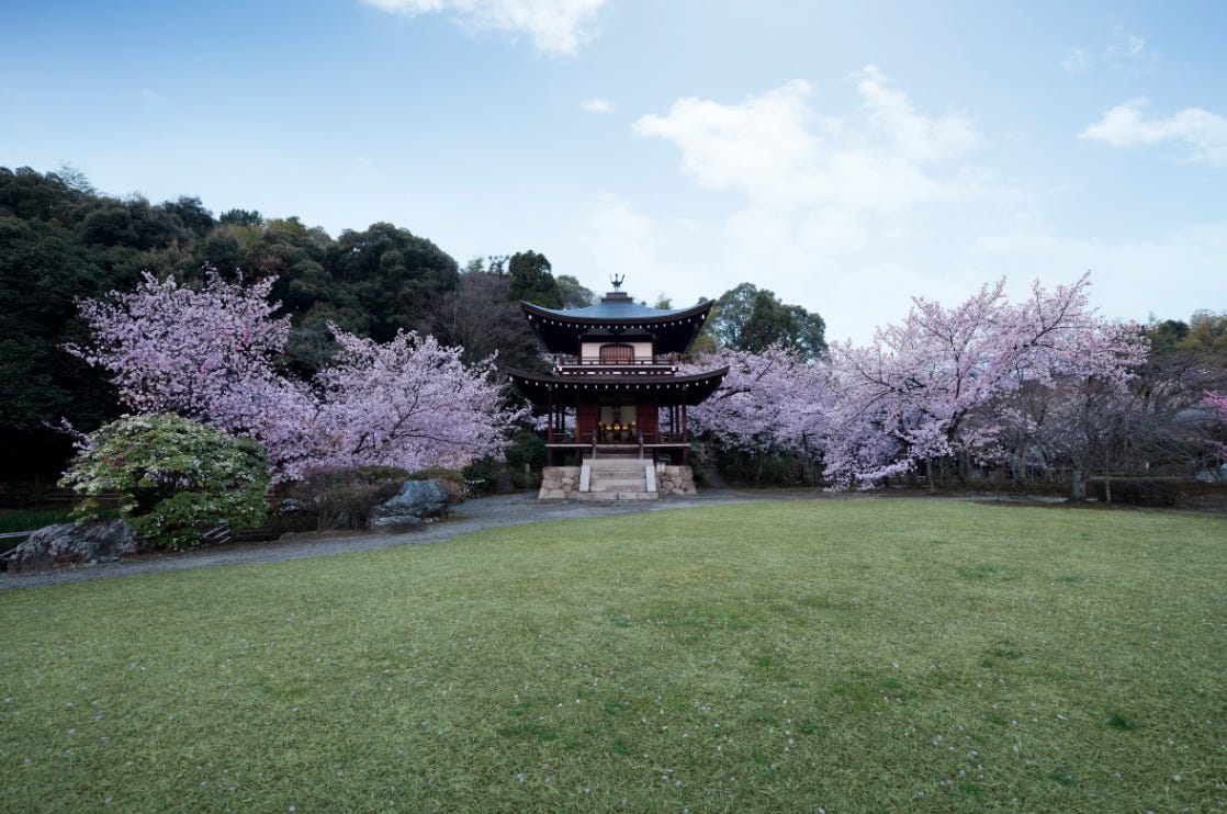 2018年春「そうだ 京都、行こう。」の舞台は「勧修寺」!知る人ぞ知る桜の名所へ
