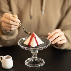 雪のような繊細なくちどけ♡賞味期限10分の幻のチーズケーキ