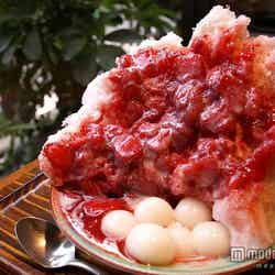 「志むら」の「氷生いちご」900円/photo by merec0【モデルプレス】