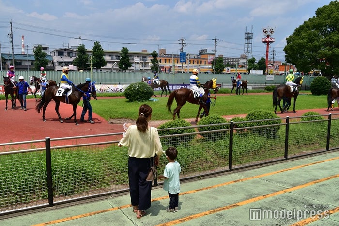 知らないなんて損してる ファミリーで楽しめる 意外な穴場スポット を厳選 女子旅プレス