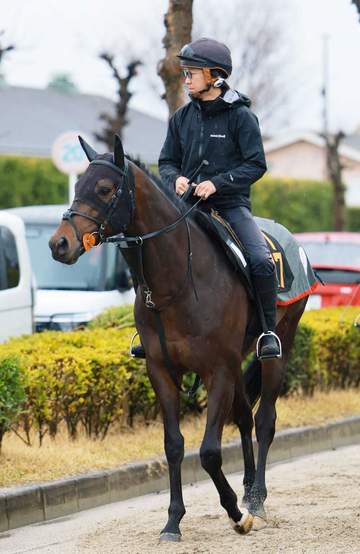 【記者メモ】引手の持ち方1つで馬の“しつけ” 暴れ馬がたった20分で我慢を覚えたスゴ技に仰天 NHKマイルC出走リゾートアイランドを例に