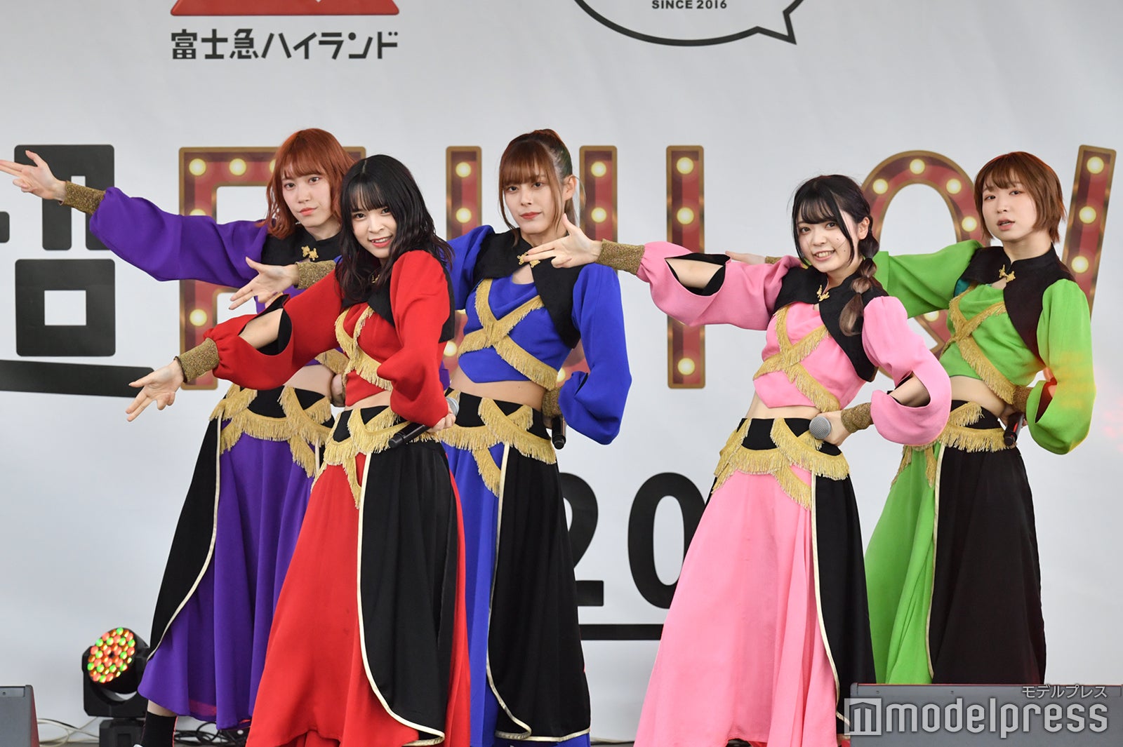 豆柴の大群（C）モデルプレス