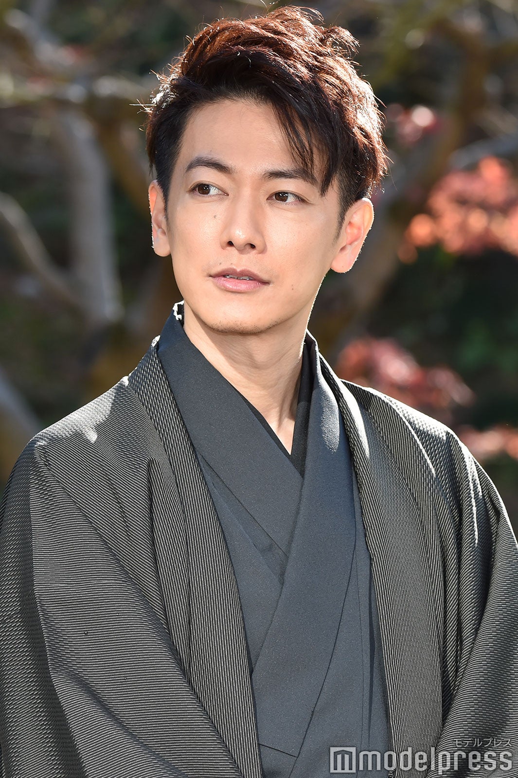 佐藤健 （C）モデルプレス