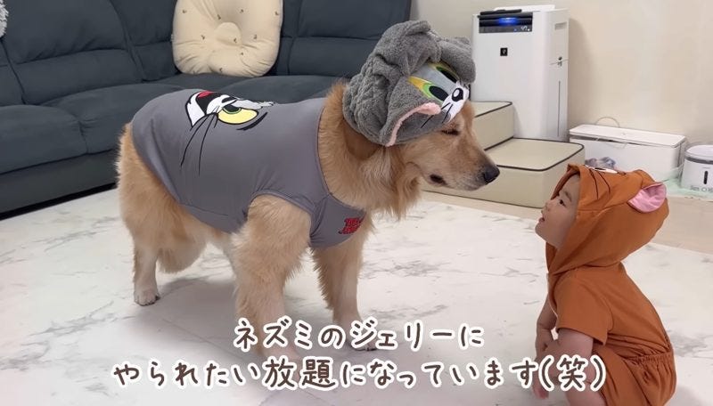 1歳児とゴールデンレトリバーがトムジェリになりきる愛らしいコスプレ大作戦
