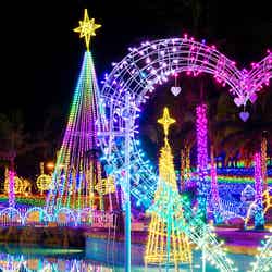 沖縄最大級の冬イルミ「スターダストファンタジア」100万の星たちが彩る光の世界