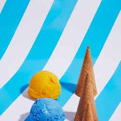 ジェラート/画像提供:株式会社THINK GREEN PRODUCE