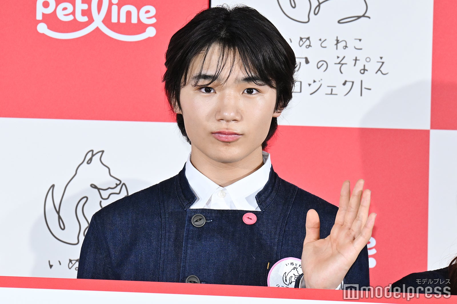 寺田心（C）モデルプレス