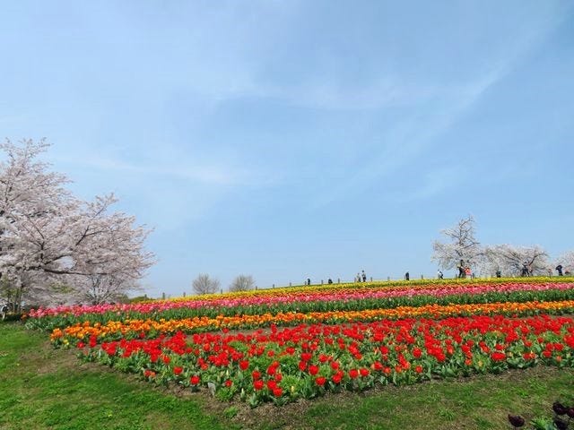 馬見丘陵公園