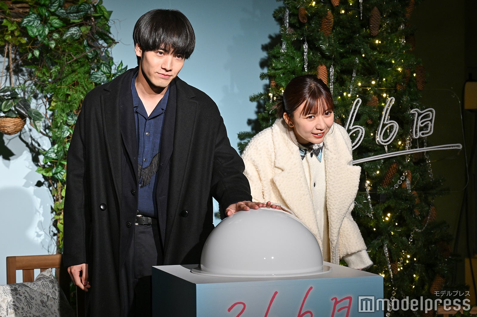 赤楚衛二、上白石萌歌（C）モデルプレス