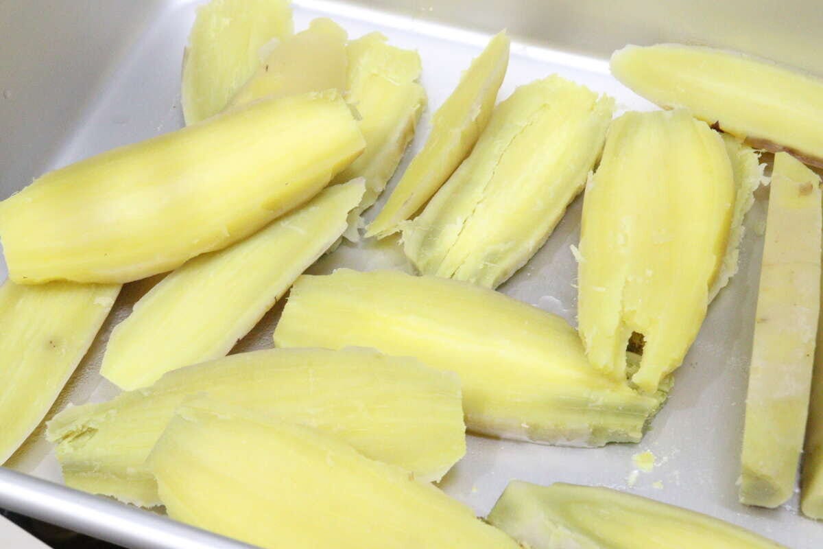 干し芋用に茹でたさつまいも