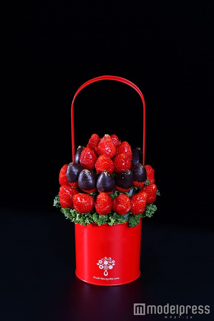 アムールSサイズ￥7,600／画像提供：プレジール株式会社